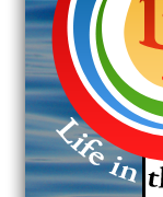 life in the ripples essential oils jonesboro arkansas young living